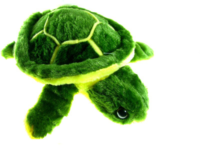 

HE Retail Soft Turtle - 24 cm(Green)
