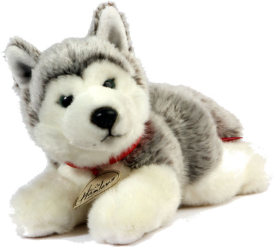 

Hamleys Lying Husky - 19 inch(White, Grey), Grey;white