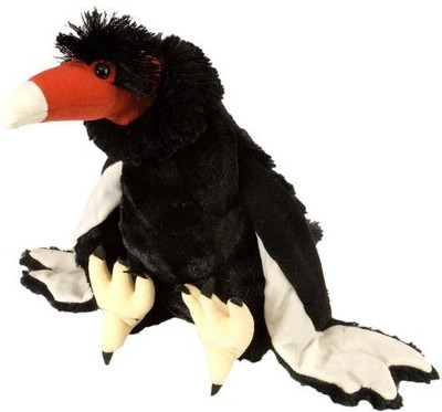 

Wild Republic Cuddlekins 12" Turkey Vulture - 20 inch(Multicolor2)