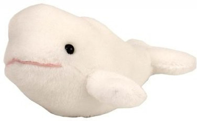 

Wild Republic Itsy Bitsy Beluga (5-inch) - 20 inch(Multicolor180)