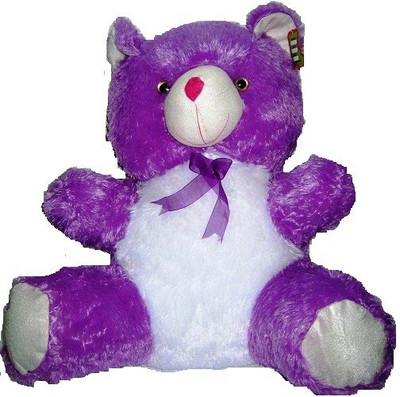 

Evergreen Sitting Teddy - 18 inch(Purple, White)