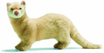 

Hansa Standing Cream Ferret 1575"(Brown)