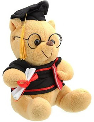 

SCORIA Scholar teddy - 20 cm(brown)