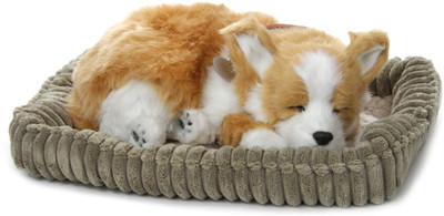 

Perfect Petzzz Corgi - 4.9 inch(Multicolor)