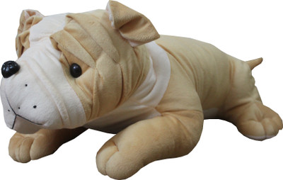 

Tipi Tipi Tap Soft Bull Dog Pet - 50(Multicolor)