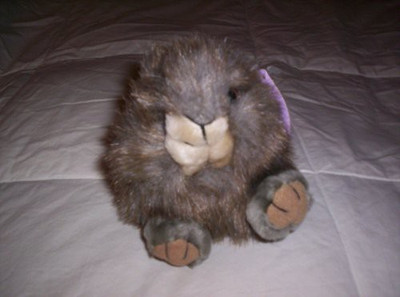 

Puffkins Squirrel "Nutty" Plush - 15 inch(Brown)