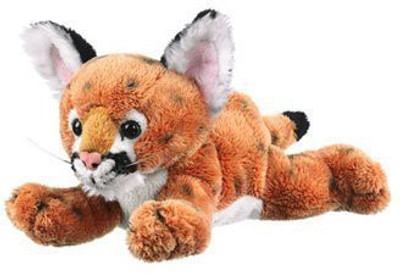

Wildlife Artists Inc Plush Animal Cougar Cub (95 Inch) - 10 inch(Orange)