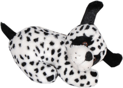 

Ktkashish Toys Kashish Cute White Dog - 17 inch(White)