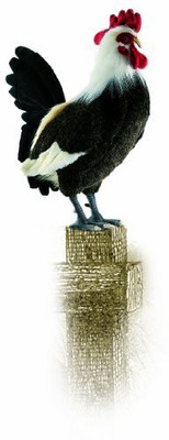 

Hansa Alimpex Rooster 17"(Black)