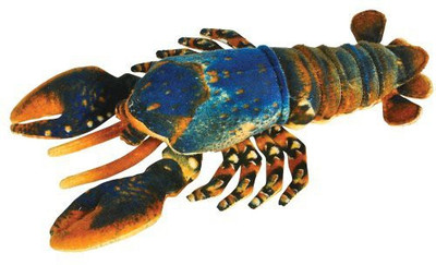 

AP Adventure Planet Plush Lobster ( 14 Inch ) - 10 inch(Blue)