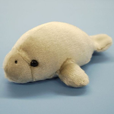 

TSTADVANCE New Manatee - 12 inch(Brown)