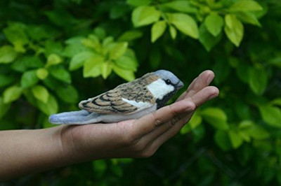 

Hansa Blue Tit Bird 4 Inch(Brown)