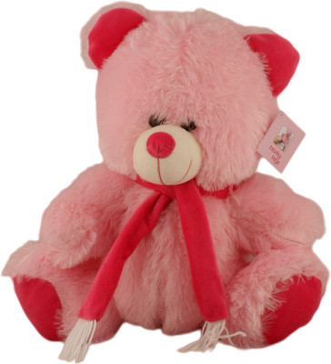 

Touchy Toys Teddy - 12 Inch(Pink)