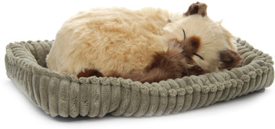 

Perfect Petzzz Tan Siamese - 5 inch(Multicolor)