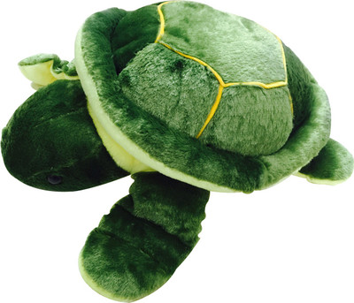 

Priyankish Cute Tortoise - 24 inch(Green, Yellow)