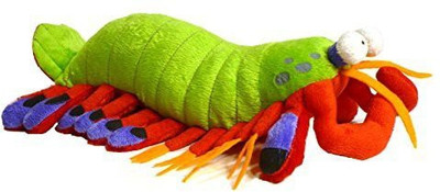 

Adore Plush Company 14" Harlequin The Mantis Shrimp Plush Animal(Green)
