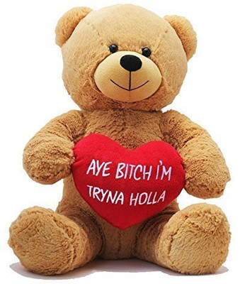 

Hollabears 16 Inch Aye Bitch I'm Tryna Holla Teddy Bear Original - 24 inch(Multicolor180)