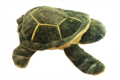 

One Up Good Luck Tortoise Soft Toy - 25 cm(Green -17)