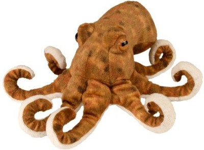 

Wild Republic CK-Mini Octopus 8" Plush - 20 inch(Multicolor250)