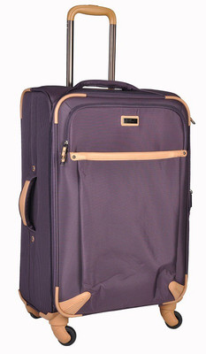 

EUROLARK INTERNATIONAL WALLSTREET Expandable Check-in Luggage - 25 inch(Purple)