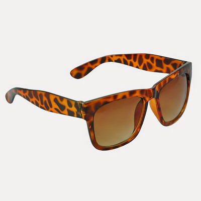 Diovanni Wayfarer Sunglasses(Brown)
