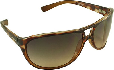 

Police Aviator Sunglasses(Brown)
