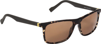 

Hugo Boss Wayfarer Sunglasses(Brown