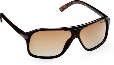 42% OFF on PANACHE Wayfarer Sunglasses(For Men, Brown) 42% OFF on PANACHE Wayfarer Sunglasses(For Men, Brown)
