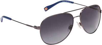 

Hugo Boss Aviator Sunglasses(Grey