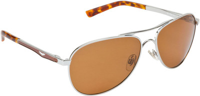 

Park Avenue Aviator Sunglasses(Brown
