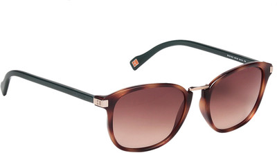 

Hugo Boss Wayfarer Sunglasses(Brown
