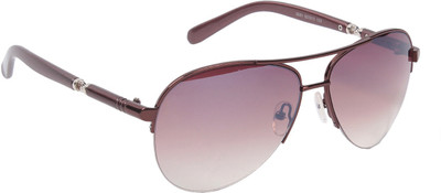 Ted Smith Aviator Sunglasses(Brown)