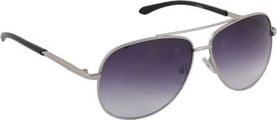 Petrol P81008SL Aviator Sunglasses