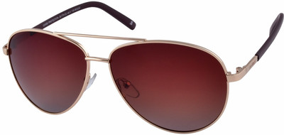 Joe Black Aviator Sunglasses(Brown)