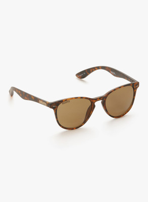 

MTV Roadies Wayfarer Sunglasses(Brown