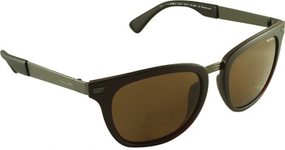 

Police Wayfarer Sunglasses(Brown)