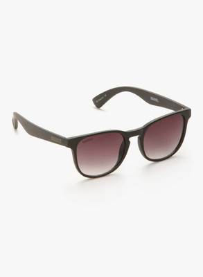 

MTV Roadies Wayfarer Sunglasses(Grey
