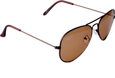 RST Aviator Sunglasses(Brown)