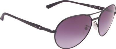 

Police Aviator Sunglasses(Multicolor)