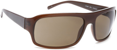 Guess Over-sized Sunglasses(Brown)