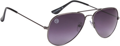 Gold Berg Aviator Sunglasses(Grey)
