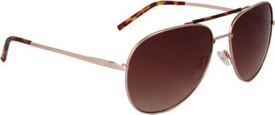 57% OFF on LEE COOPER Aviator Sunglasses(For Men, Brown) 57% OFF on LEE COOPER Aviator Sunglasses(For Men, Brown)