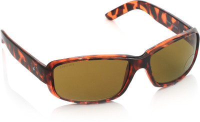 28% OFF on Fastrack Rectangular Sunglasses(For Women, Brown) 28% OFF on Fastrack Rectangular Sunglasses(For Women, Brown)