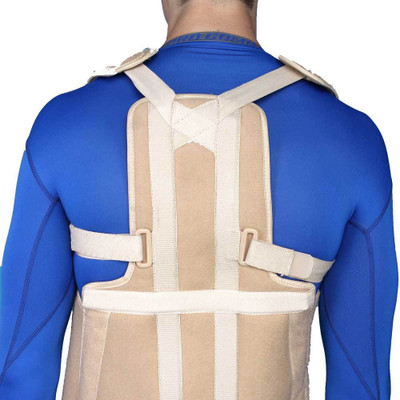Aktive Support 542 Back / Lumbar Support