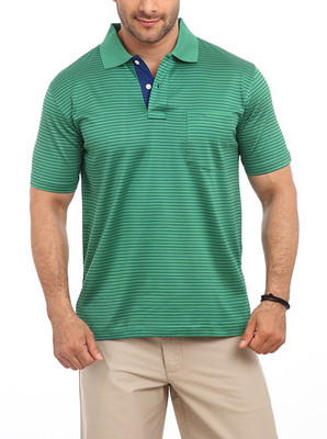 

ColorPlus Striped Men' Polo Neck Green T-Shirt