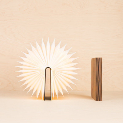 

SS Magic Wooden Table Lamp(3 cm, Brown)