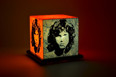 

Shady Ideas Light My Fire LED Table Lamp(Multicolor)