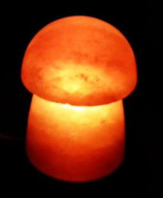 

MTS Himalayan Rock Salt Lamp Mashroom Night Lamp(15 cm, Orange)
