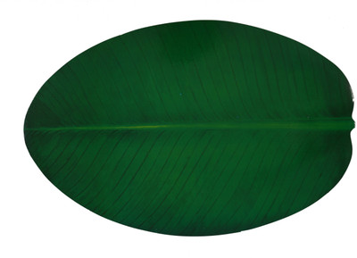 

E-Retailer Green Polyester Table Linen Set(Pack of 6)