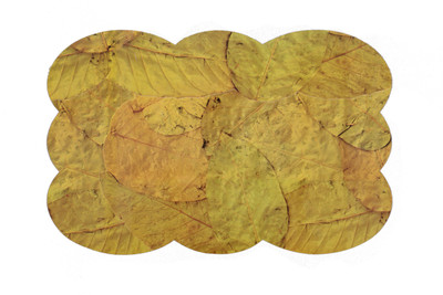 

E-Retailer Yellow Polyester Table Linen Set(Pack of 6)